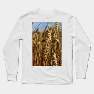 Ear of wheat Long Sleeve T-Shirt